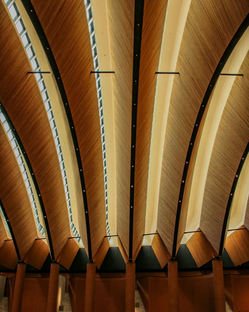 A vaulted timber ceiling in a concert hall
